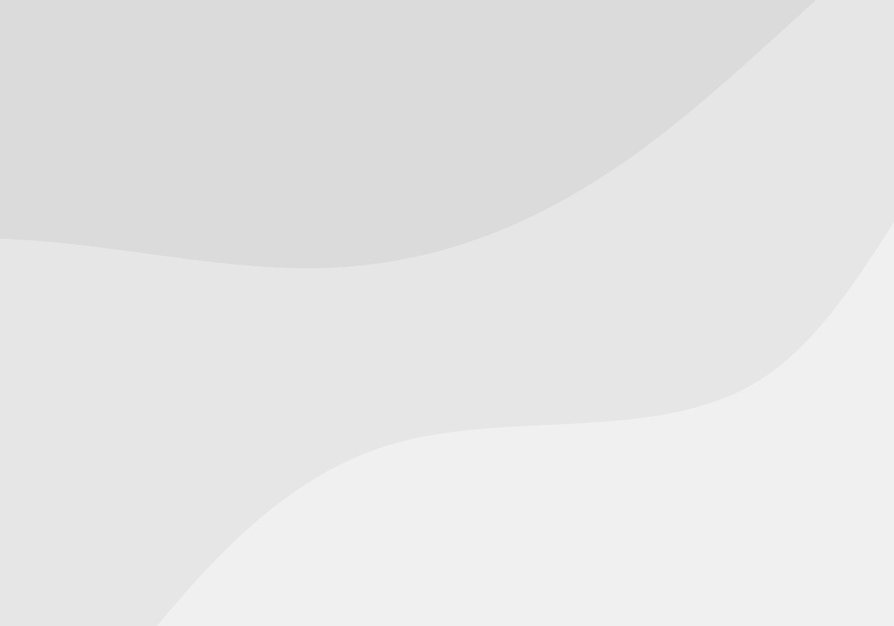 Titelbild Plattenleger